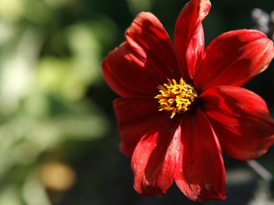 052908_amblerviewbook026