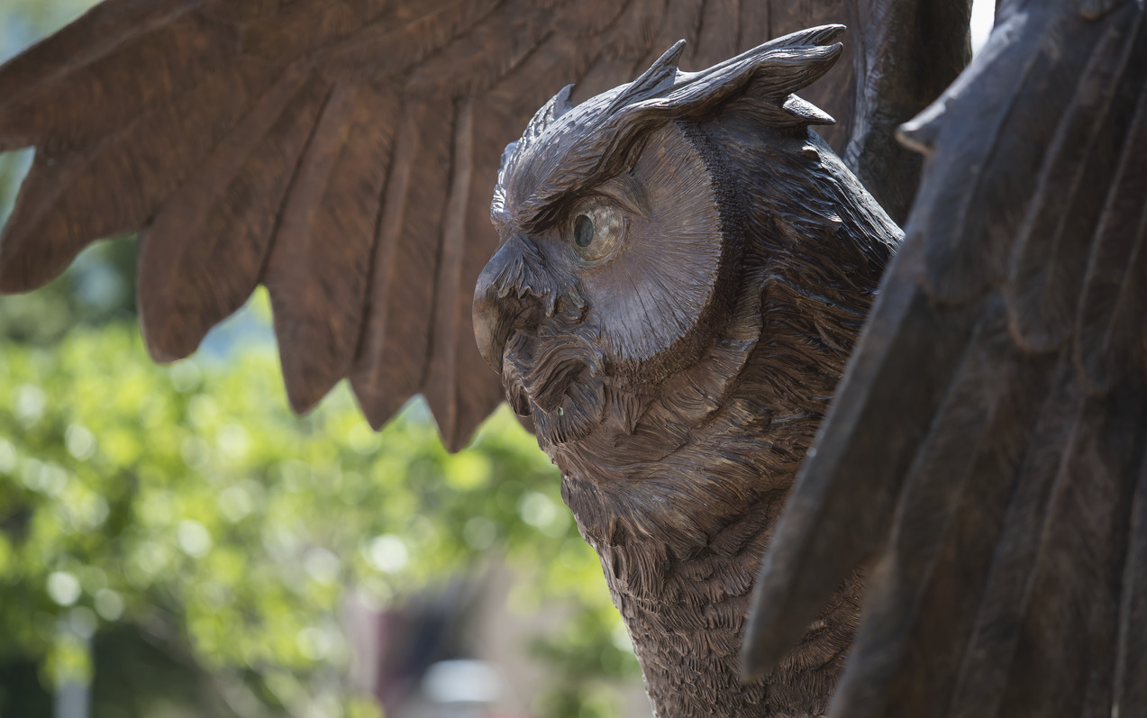 Owl statue pictured.