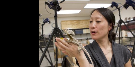 20110108_hsieh_t_007