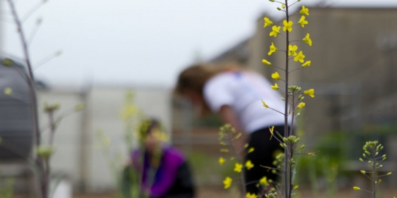 20120418_gardens_030_2