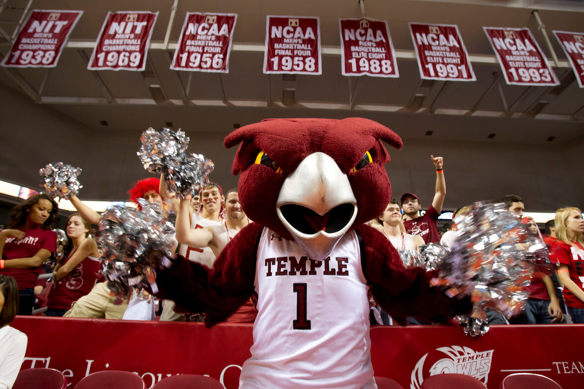 Hooter at a Temple basketball game.