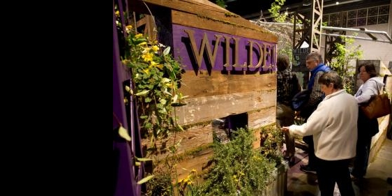 20130305_flower_004_medium