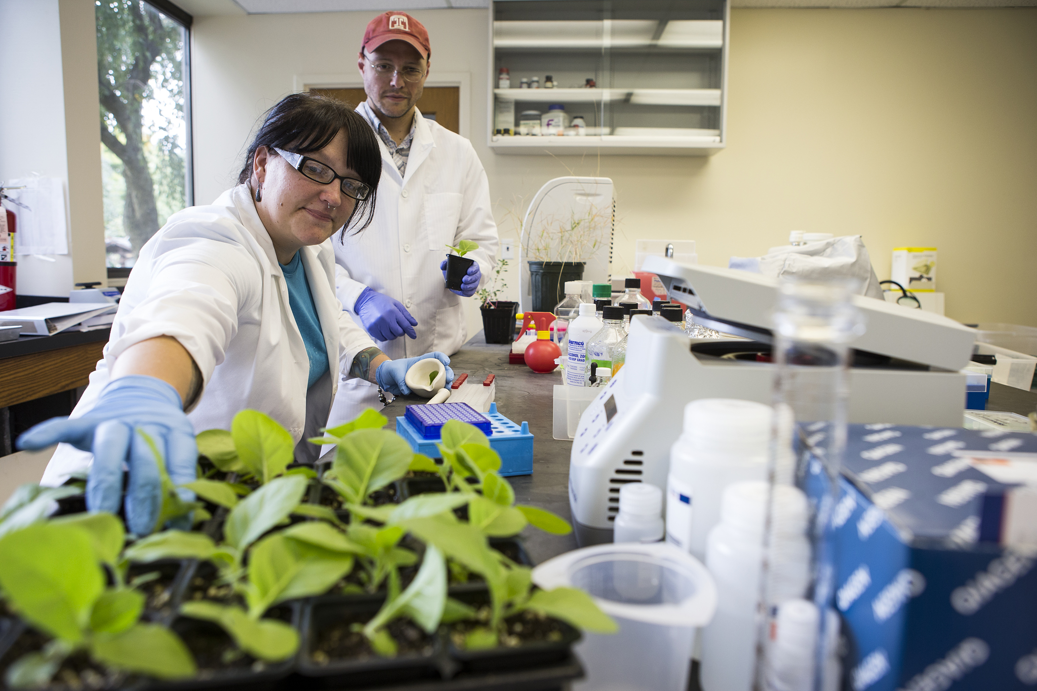 A horticulture student works on a project.