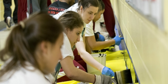 20140119_mlkduckrey_050rec