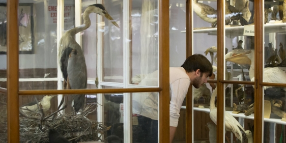 20141105_wagner_005rec_medium