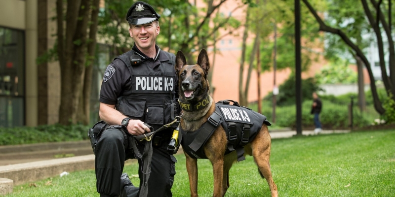 20150521_police_dog_rec_005_medium