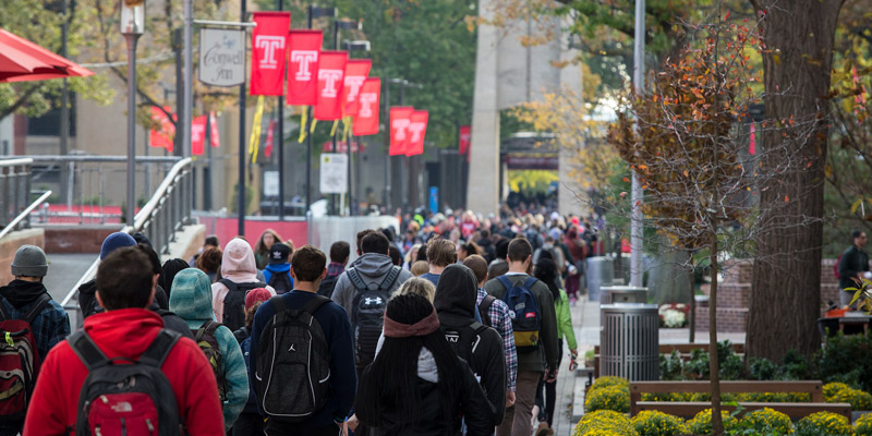 students walking on campus underneath red flags bearing the Temple T .