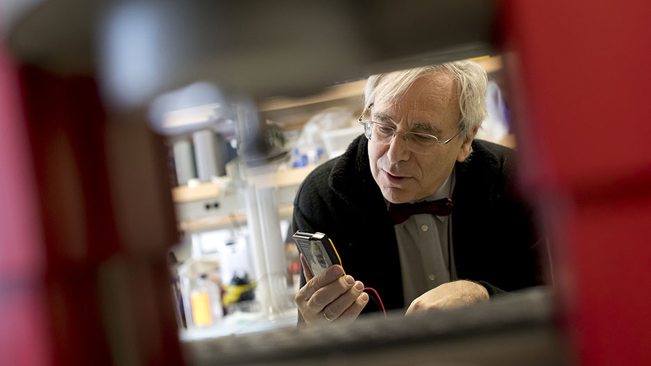 Peter Lelkes looking at a device in the lab.