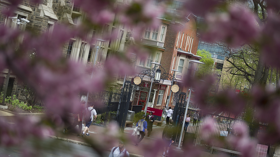 Temple s gate on Polett Walk through cherry tree blossoms.