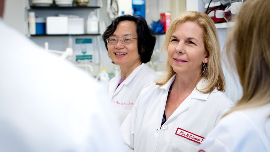 Temple University Lewis Katz School of Medicine researchers helped develop a tool that gives deeper insights into the brain s response to opioids.