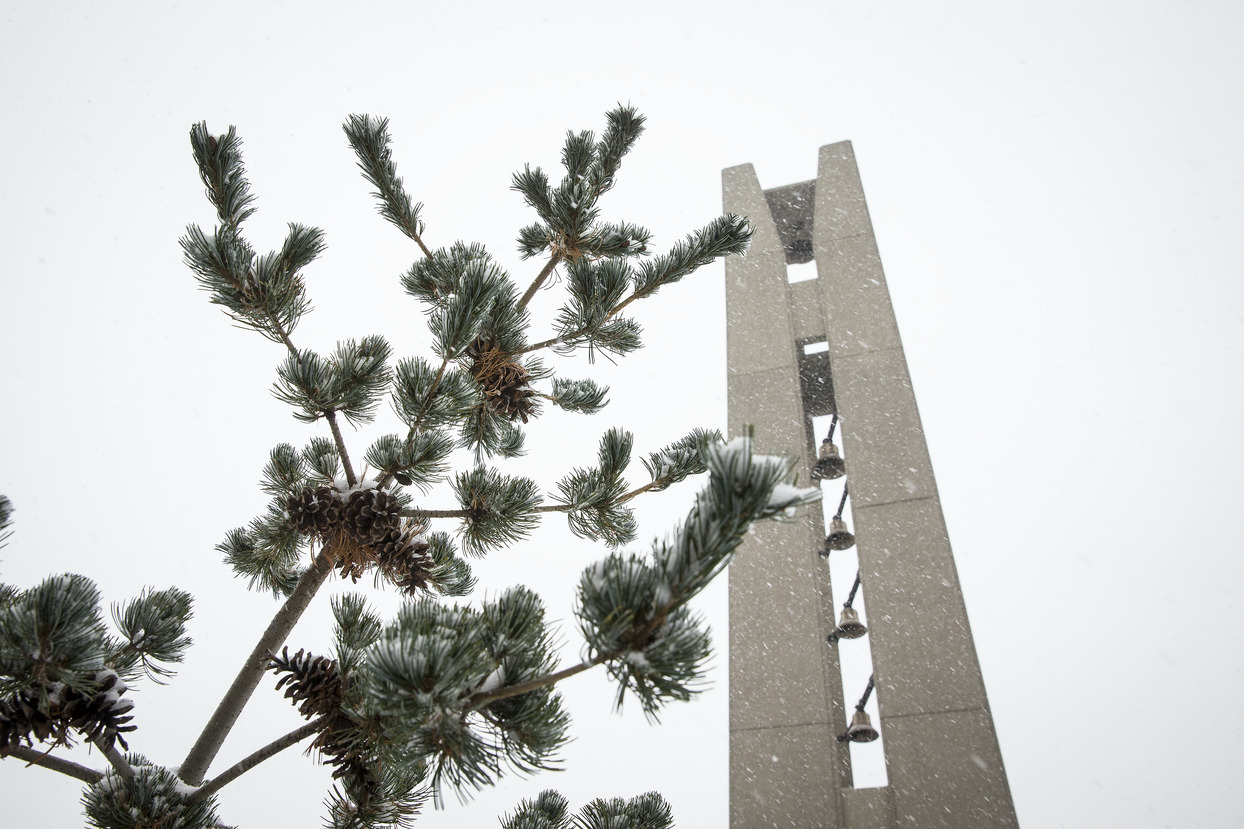 The Bell Tower in the snow.