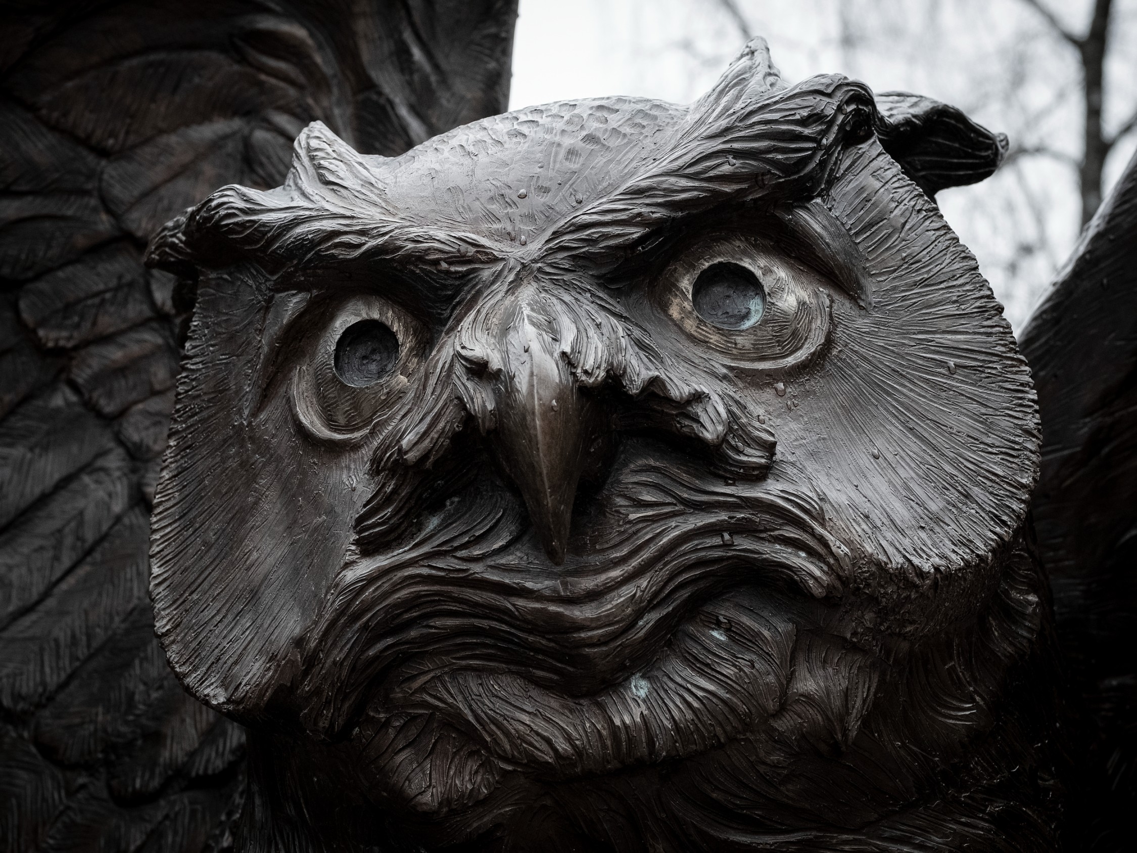 Image of Temple s bronze owl statue.