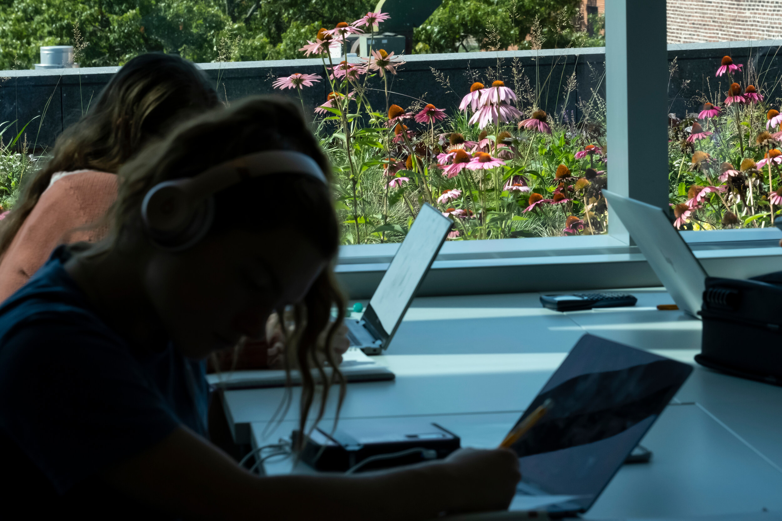 Students studying in Charles Library, with the green roof visible through a window nearby.