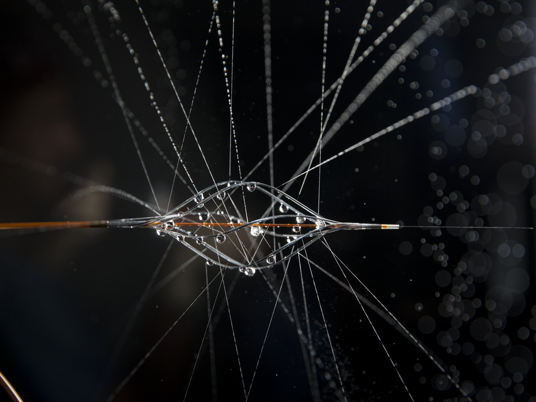 20200928_bashir_r_049-web_res_jpeg_150_dpi_3