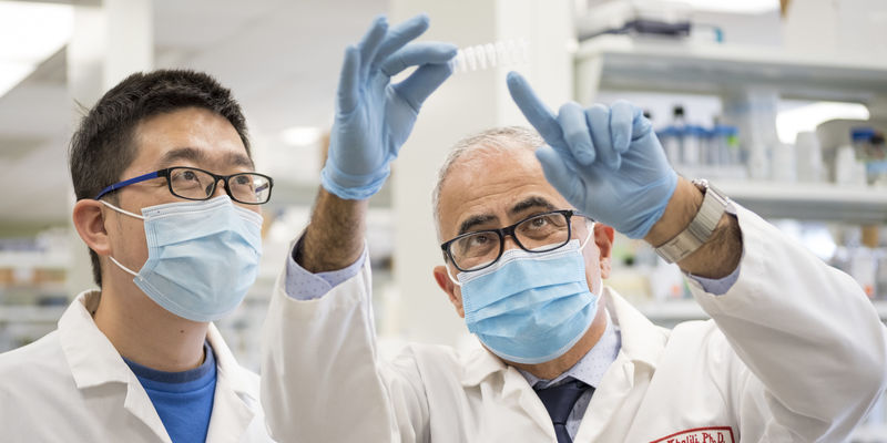 Two doctors looking at results in a lab.