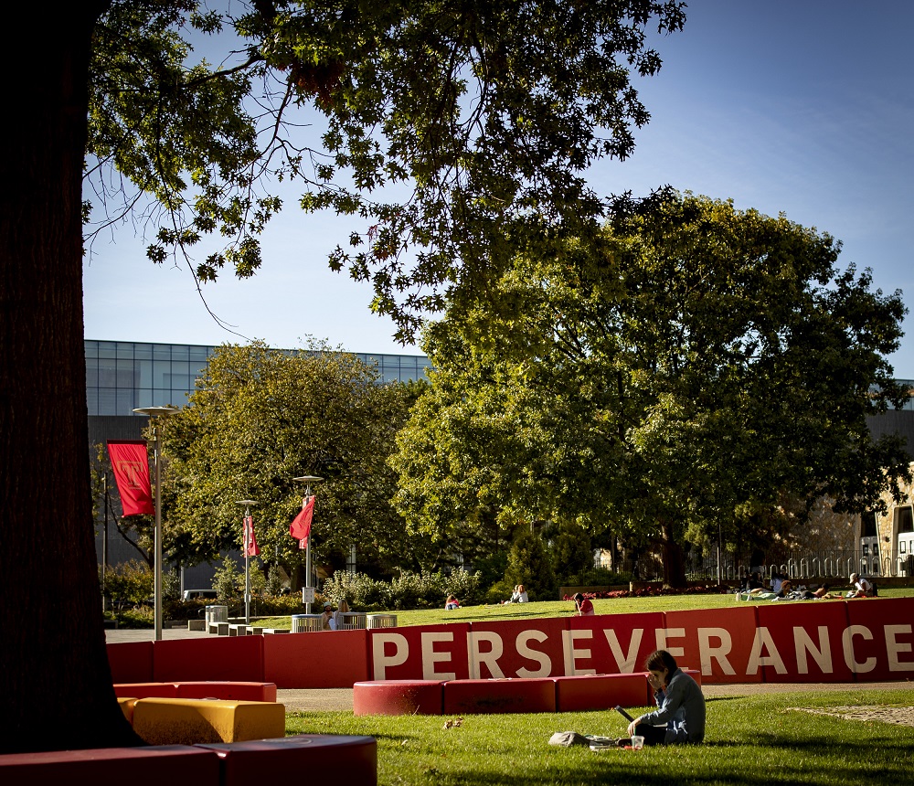 A student sitting in the grass on Main Campus near the Perseverance Conquers mural.