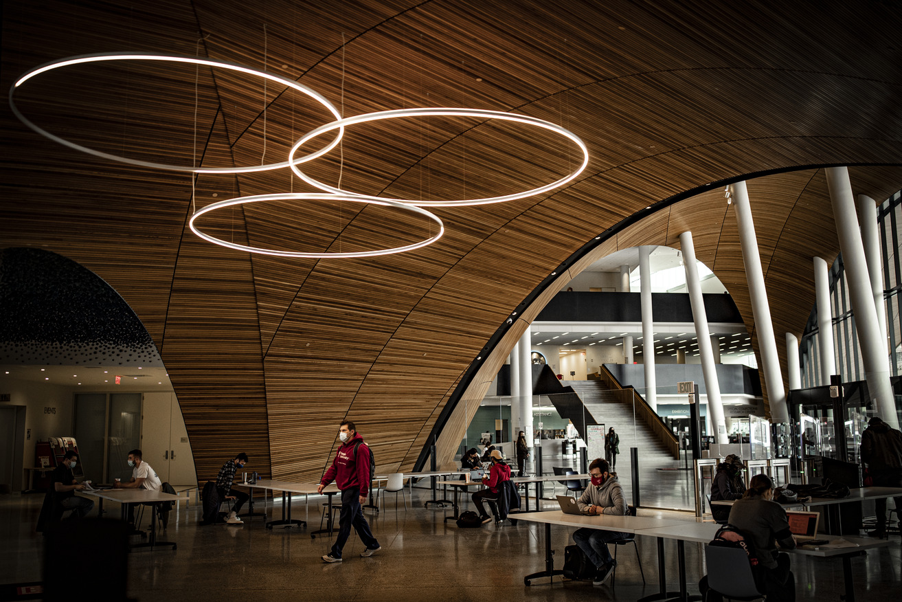 Students studying in Charles Library.