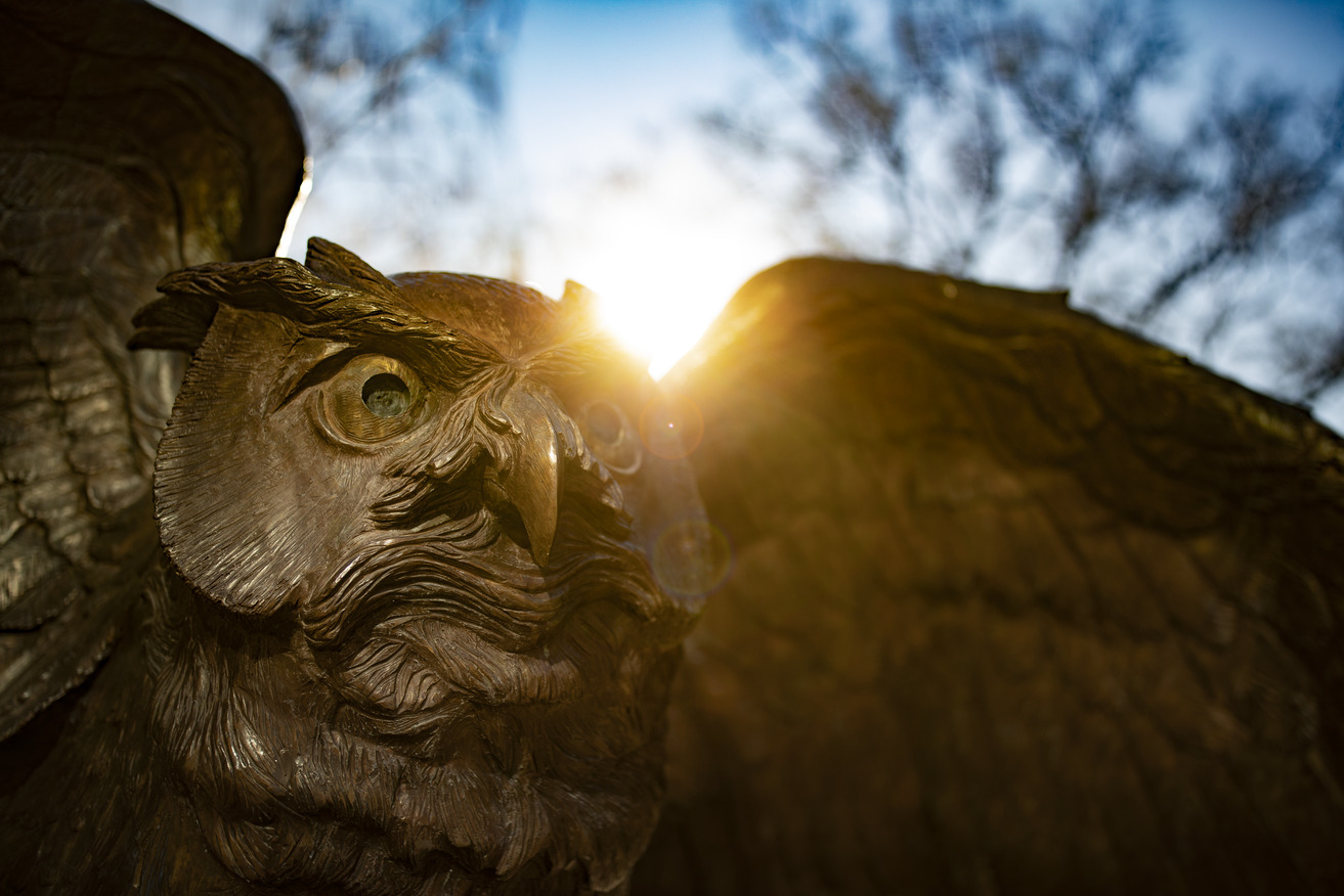 An Owl statue spreads its wings on Temple's Main Campus.