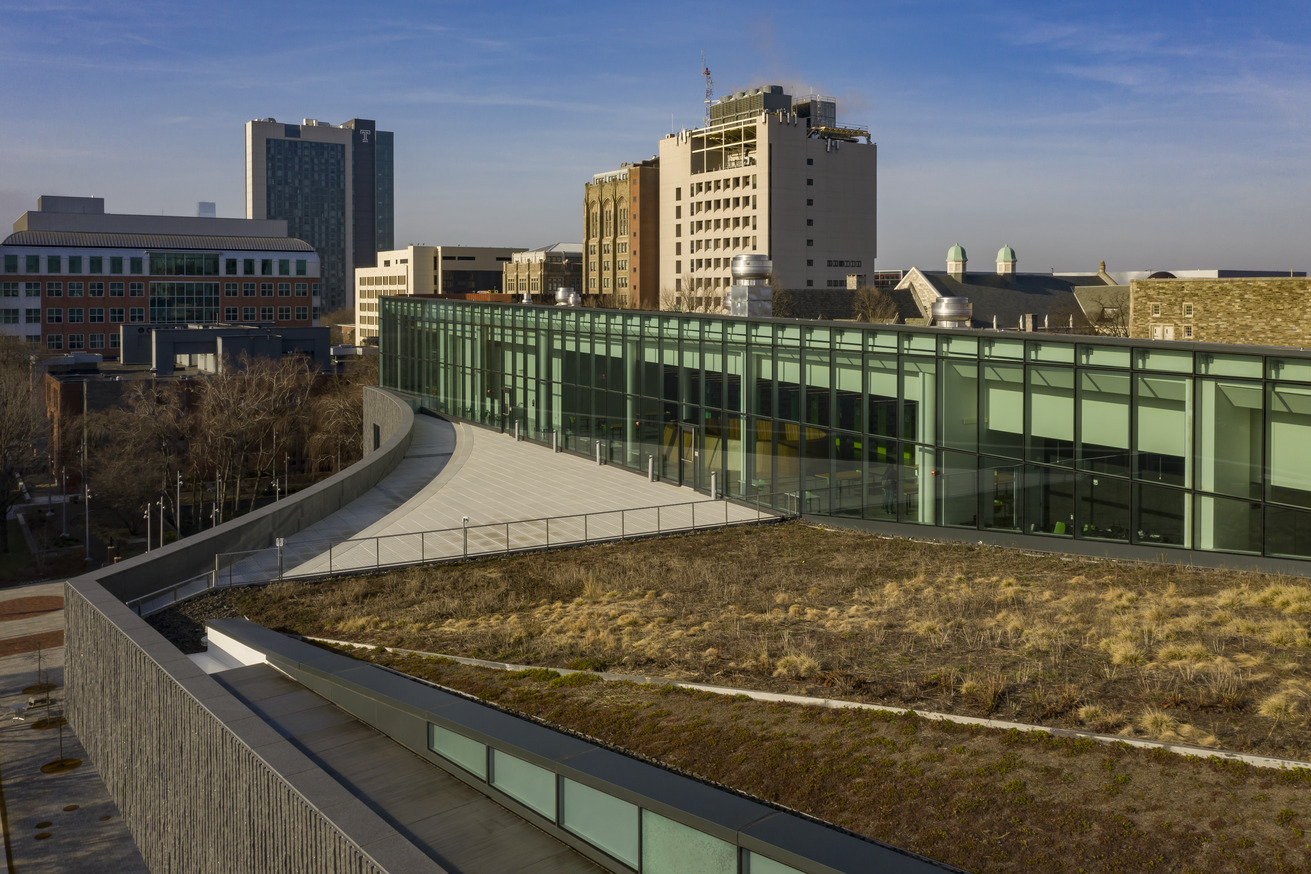 Charles Library s green roof, part of Temple s continued sustainability efforts.