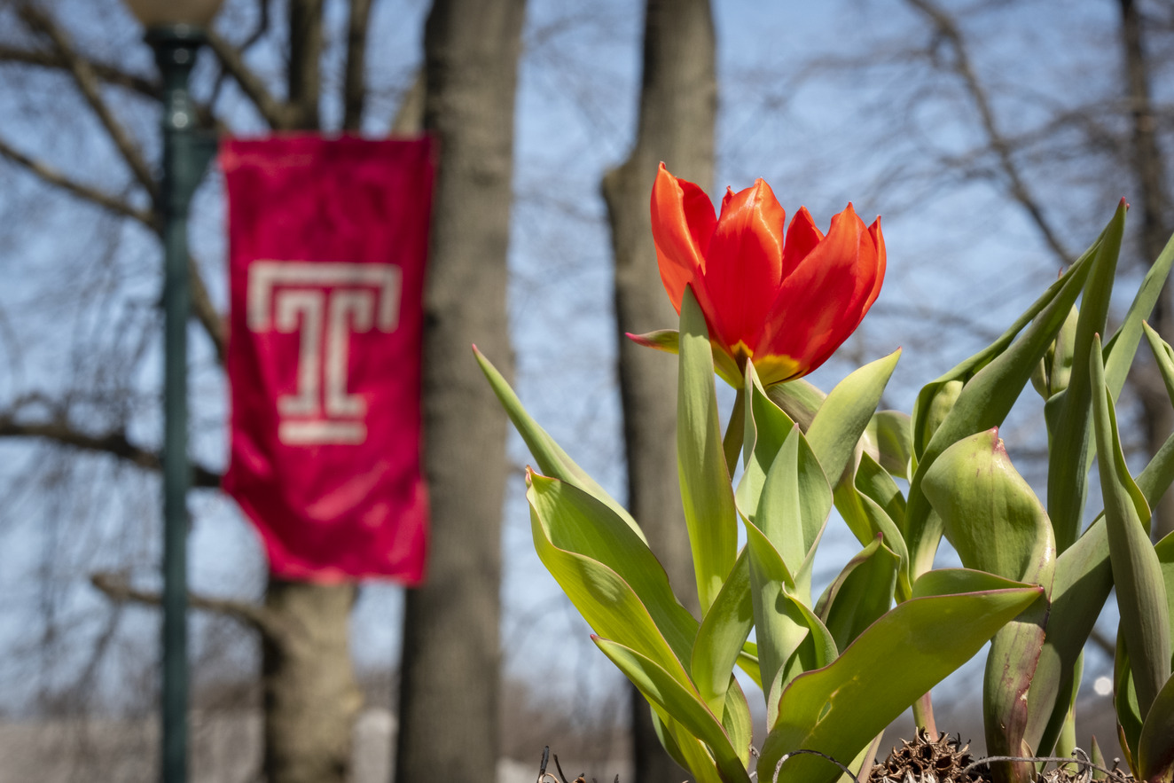Temple flag with tulip