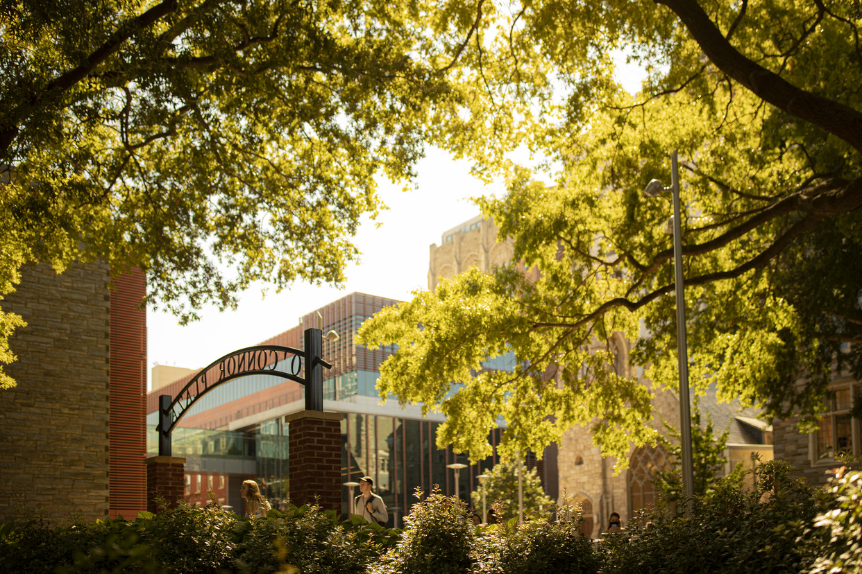 Campus stock photography