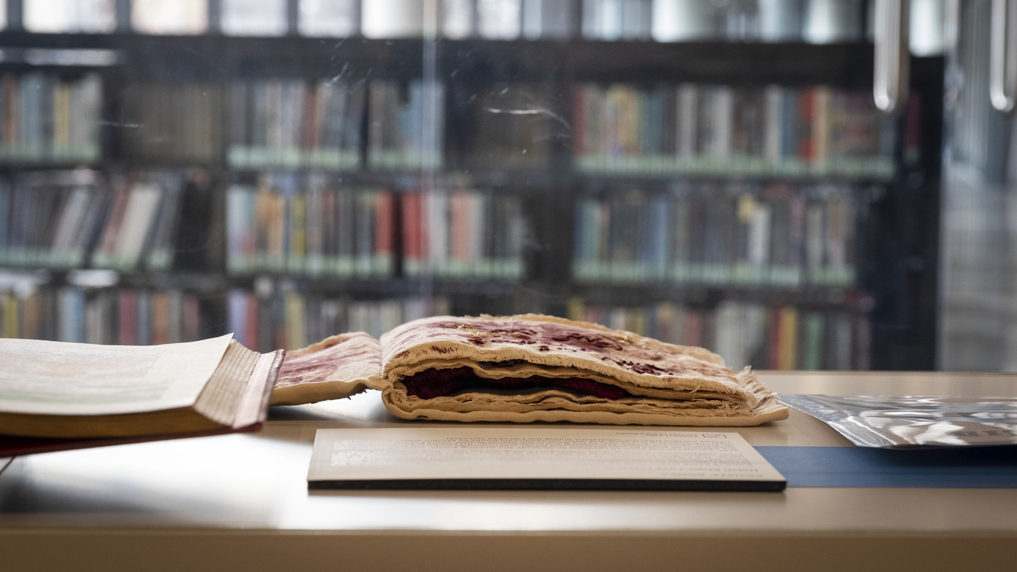 Image of books in a case.