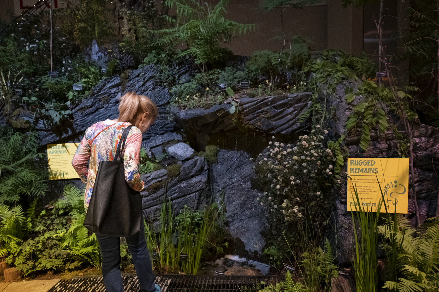 A spectator looks at Temple's exhibit in the Flower Show