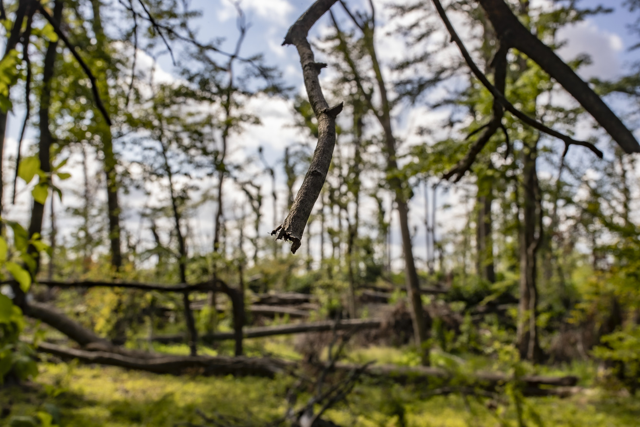 20220808_amblercampus_014-web_res_jpeg_150_dpi_1