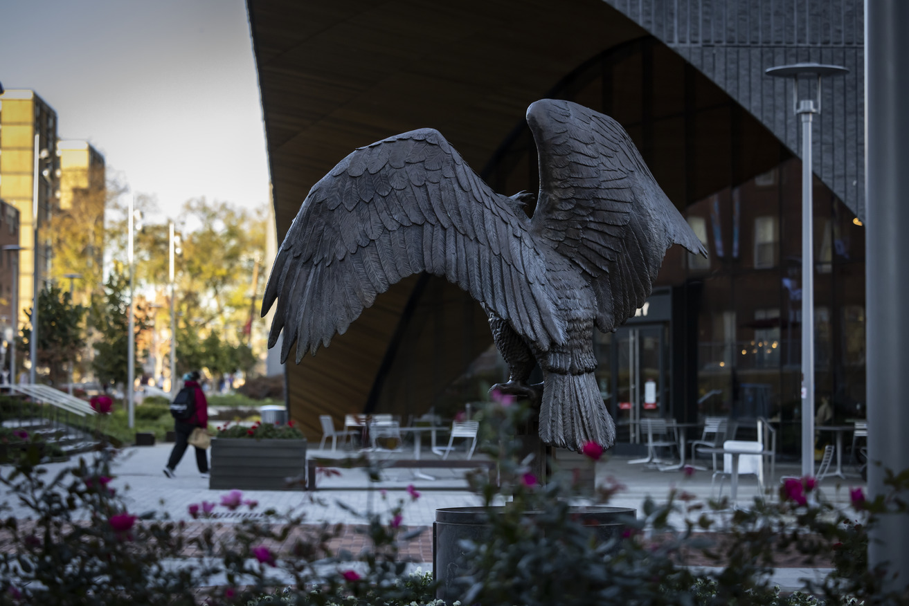 Stock of Owl statue pictured.