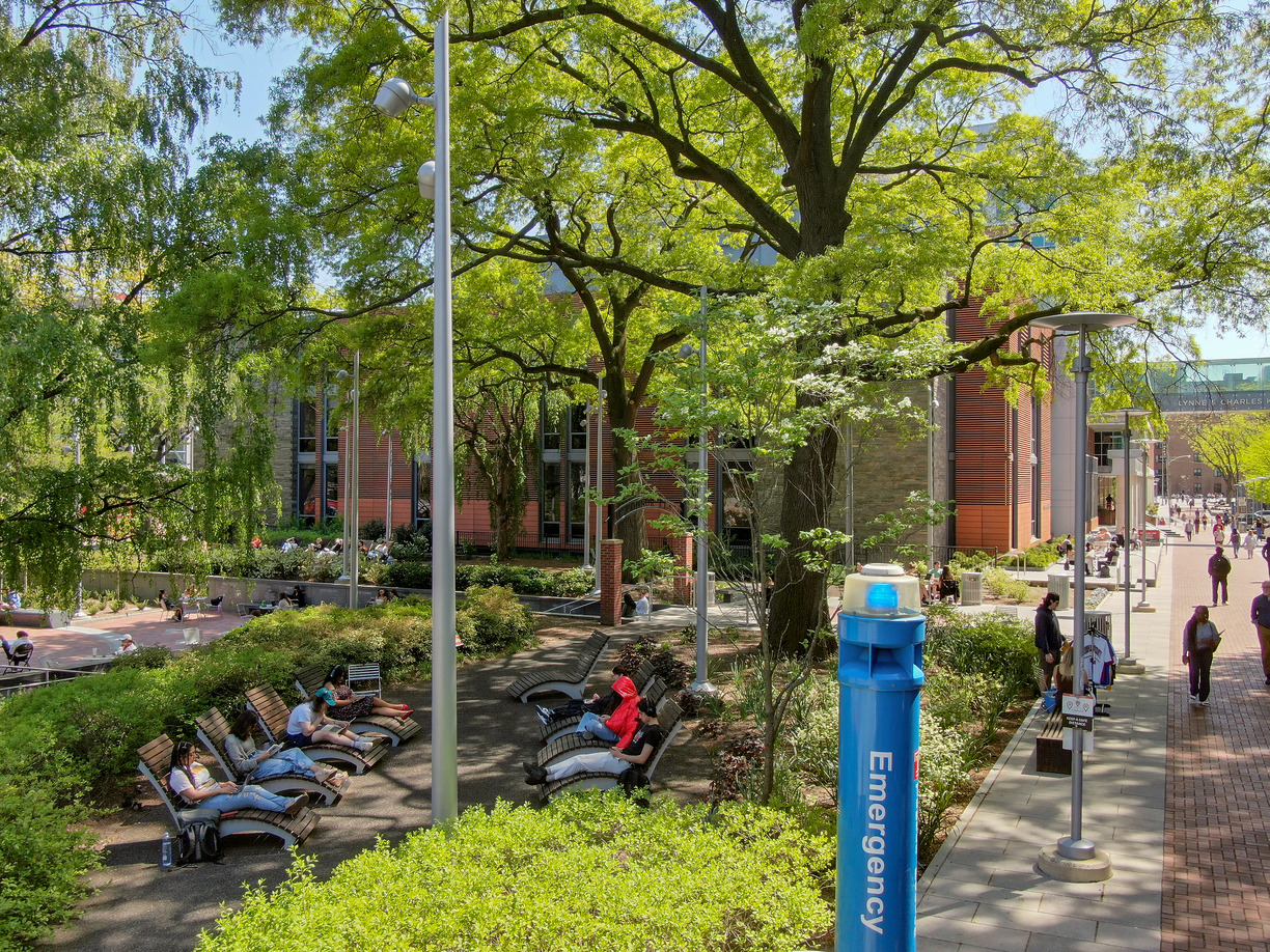 People lounging on campus