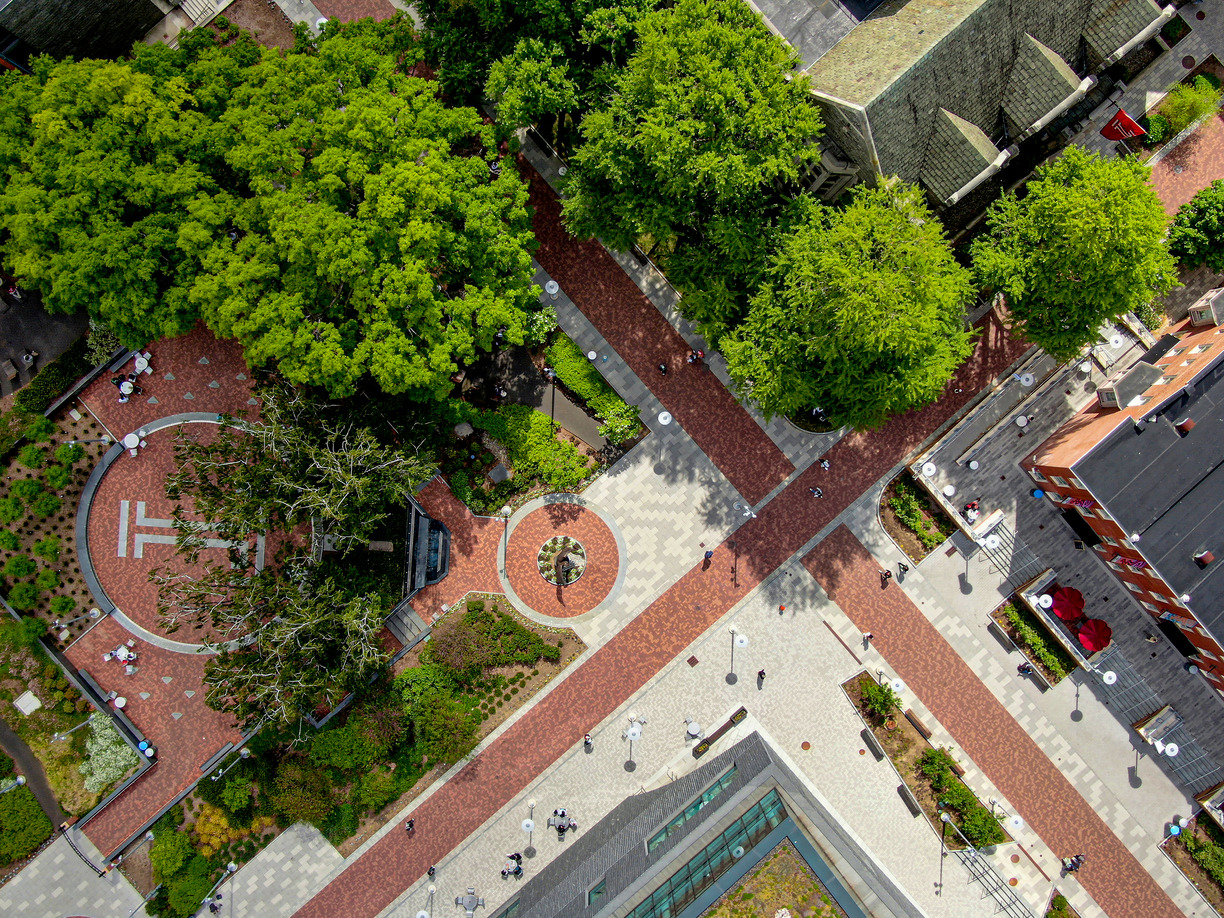 arial photo of Temple campus