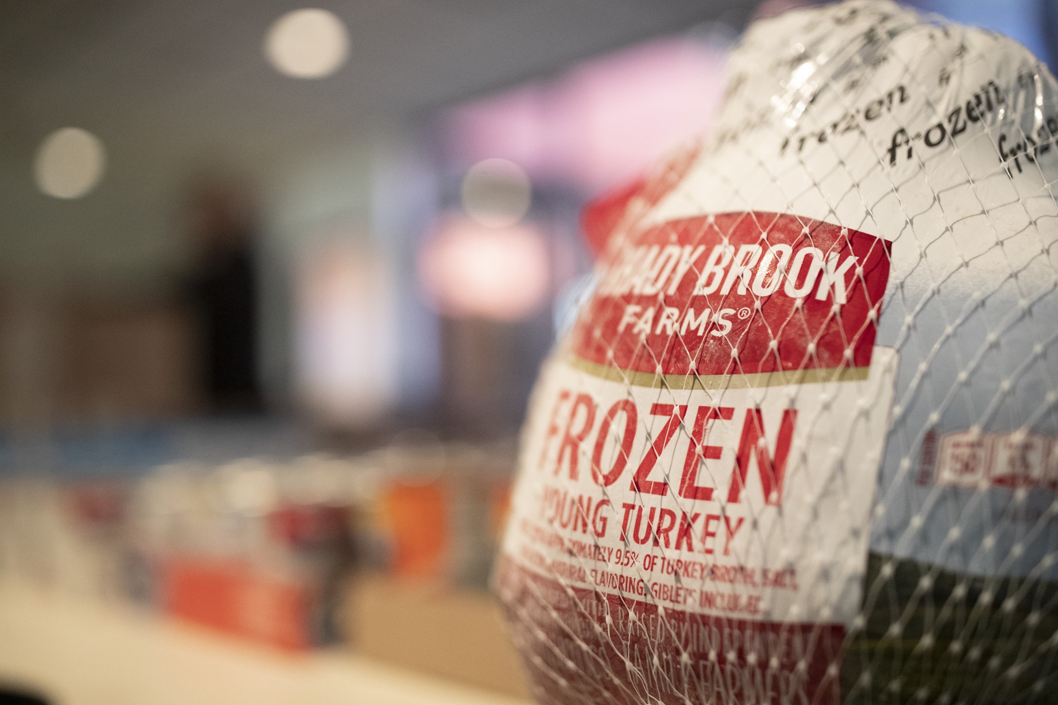 An image of a turkey.