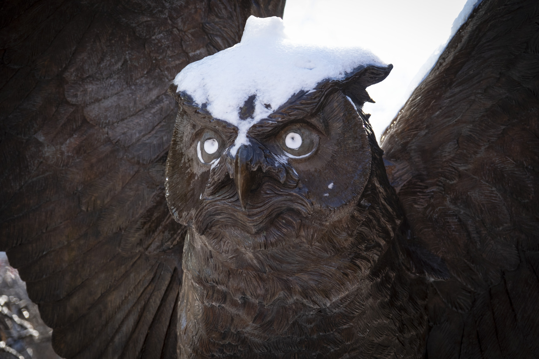 A picture of Temple's owl statue.