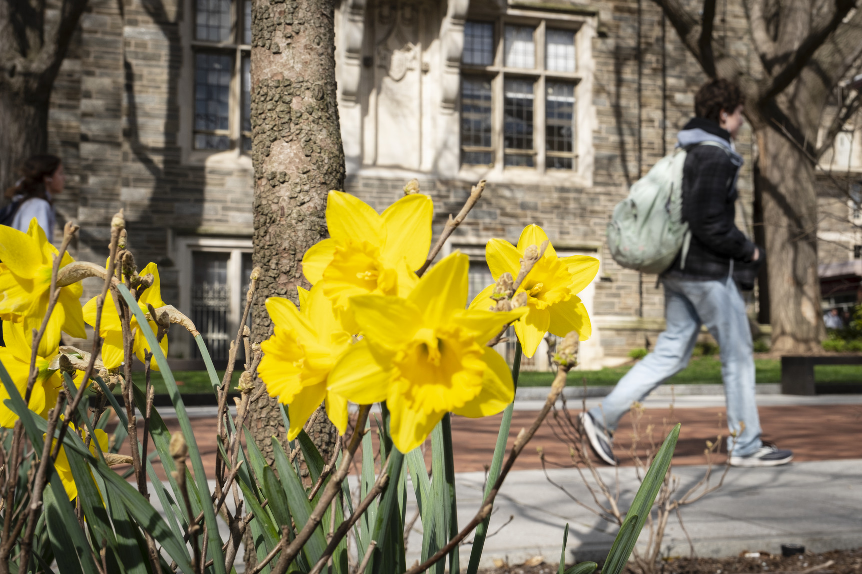 A spring campus scene.