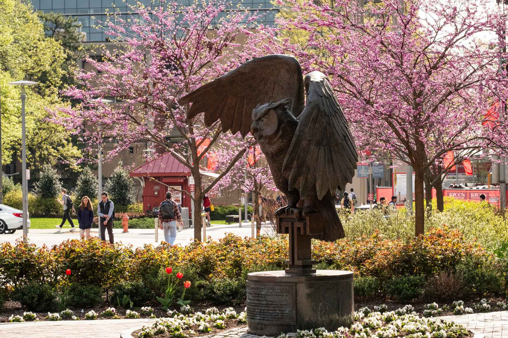 The Temple Owl statue