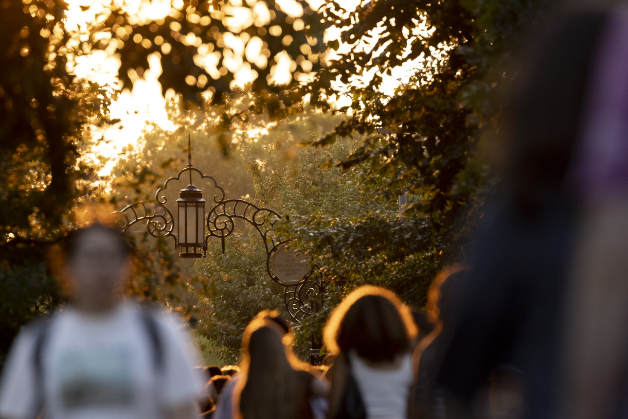 An evening campus stock photo.