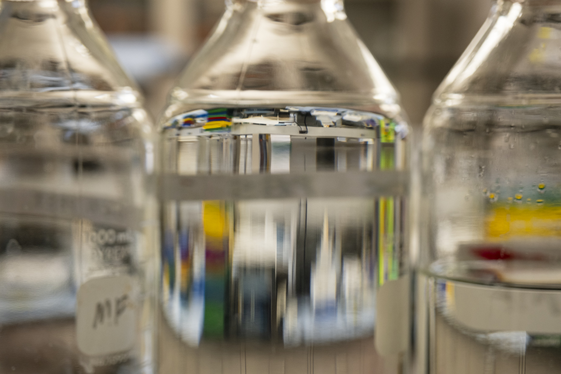 20241120_feitelson_arzumanyan_001-web_res_jpeg_150_dpi_1