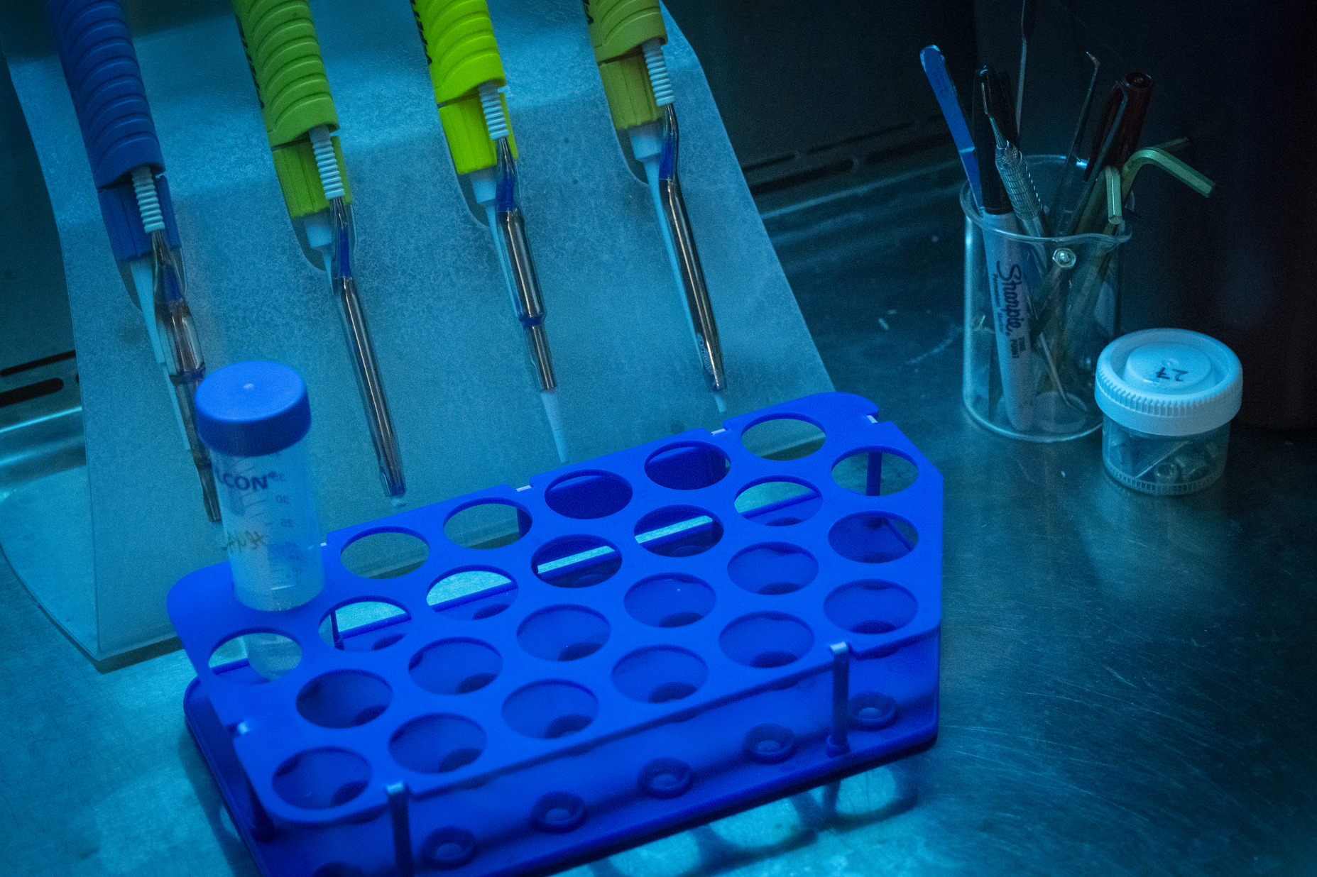 20241122_orrego_montoya_022-web_res_jpeg_150_dpi_2