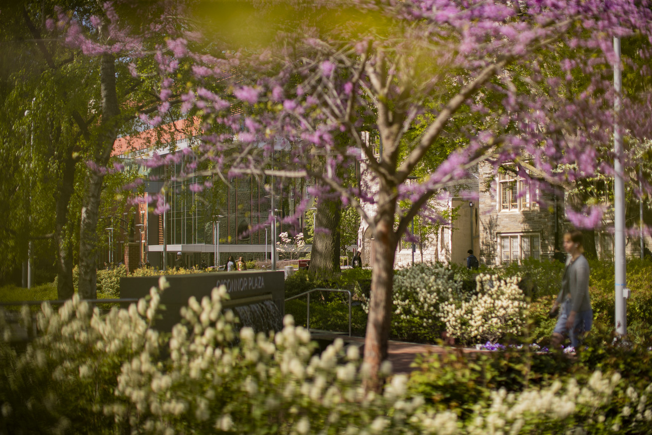 20250503_springstockrsb_006-web_res_jpeg_150_dpi