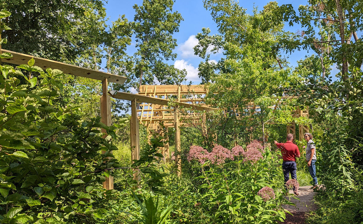 One-Year Remembrance: Experience the Healing Power of Nature