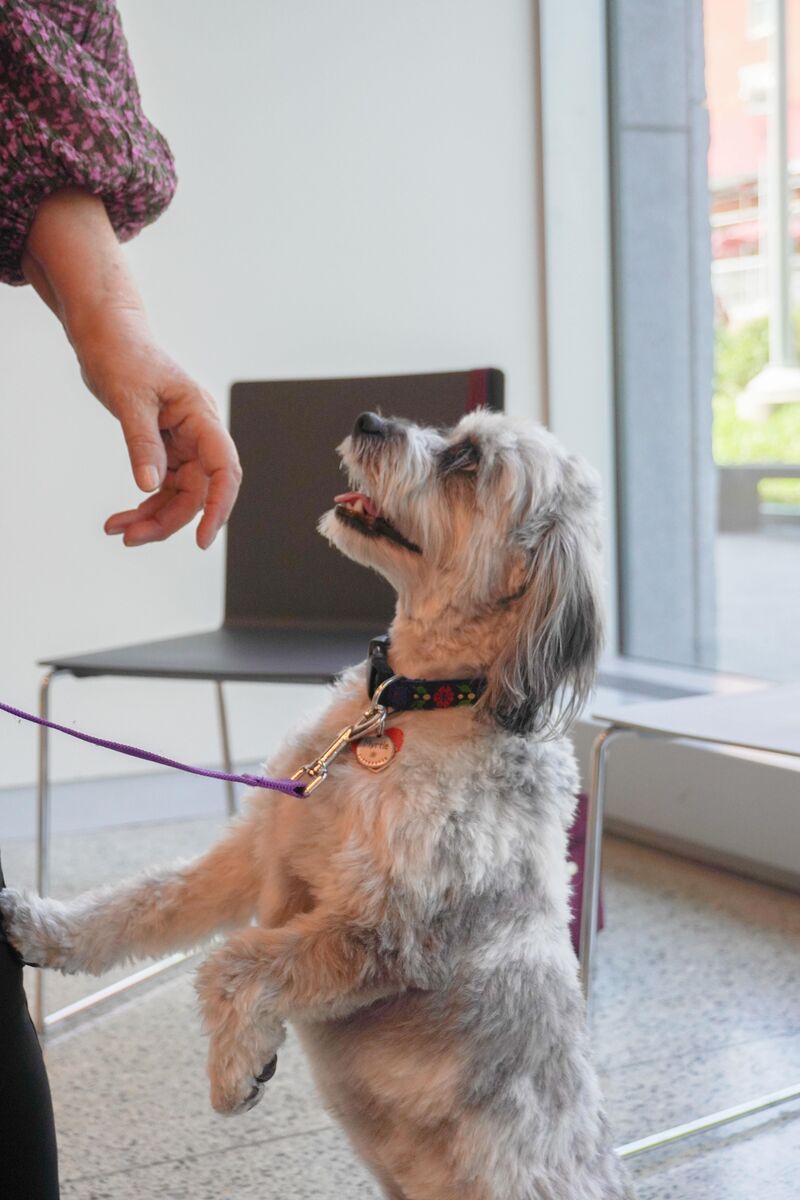 DSC02243_Ella%20Lathan