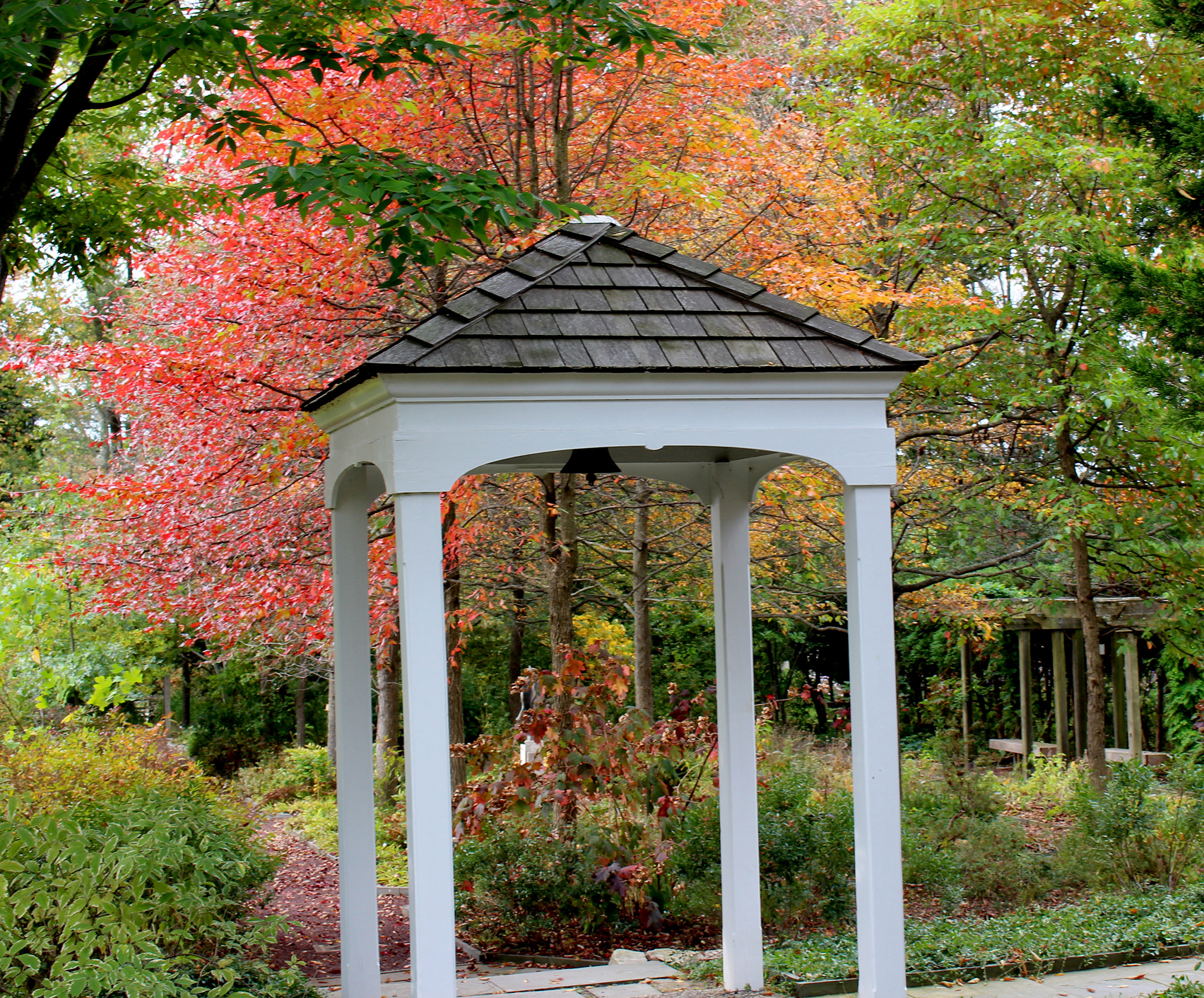 A view of the Native Plant Garden in the fall.