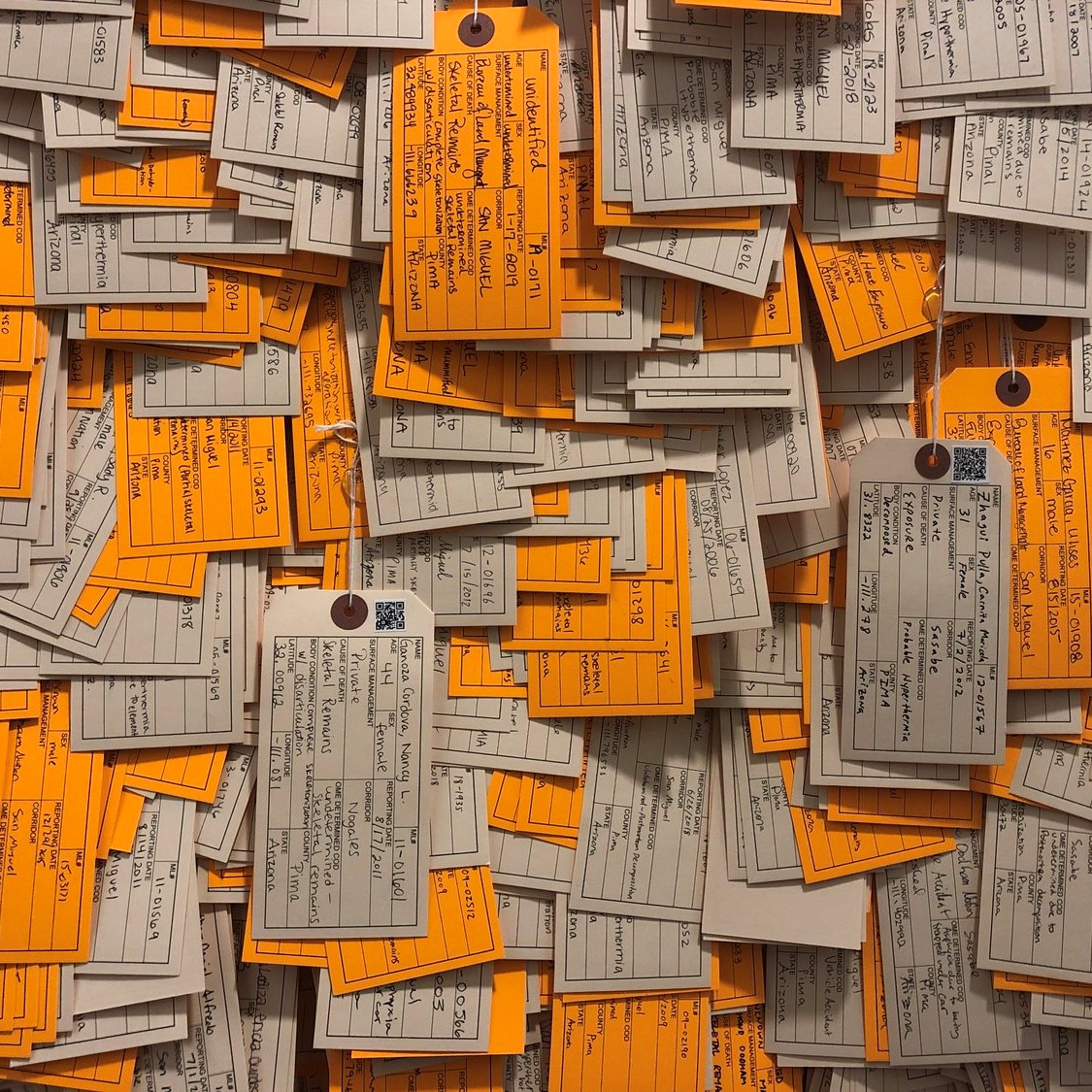 toe tags of both identified (manila-colored toe tags) and unidentified migrants (orange-colored toe tags)