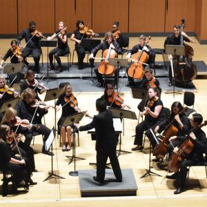 OWLchestra.17_ZachFischer_10_0
