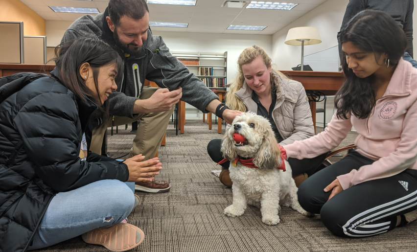 Medical students surrounding and petting a therapy dog