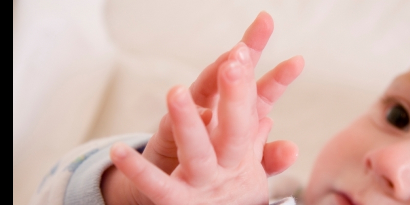 baby_brains_thumbnail_2