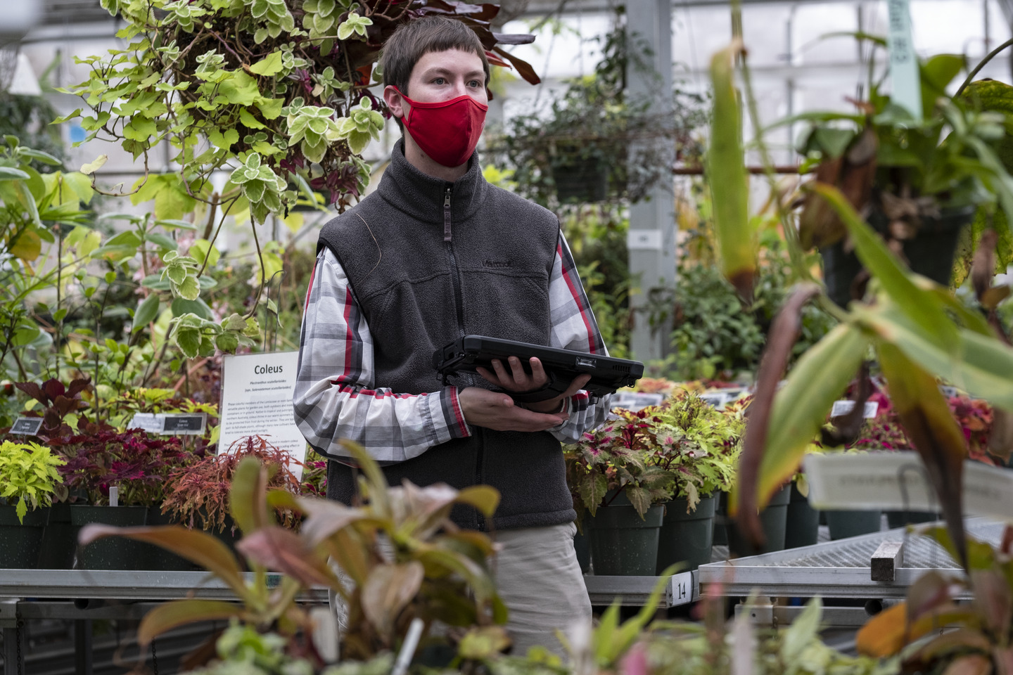 Ben Snyder among plants in the Temple Ambler Greenhouse.