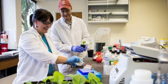 certificate-in-sustainabilityrec_medium_2