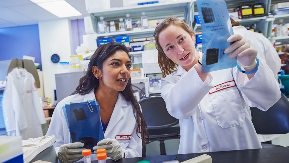 two students examining a document in Temple s Cardiovascular Research Center.