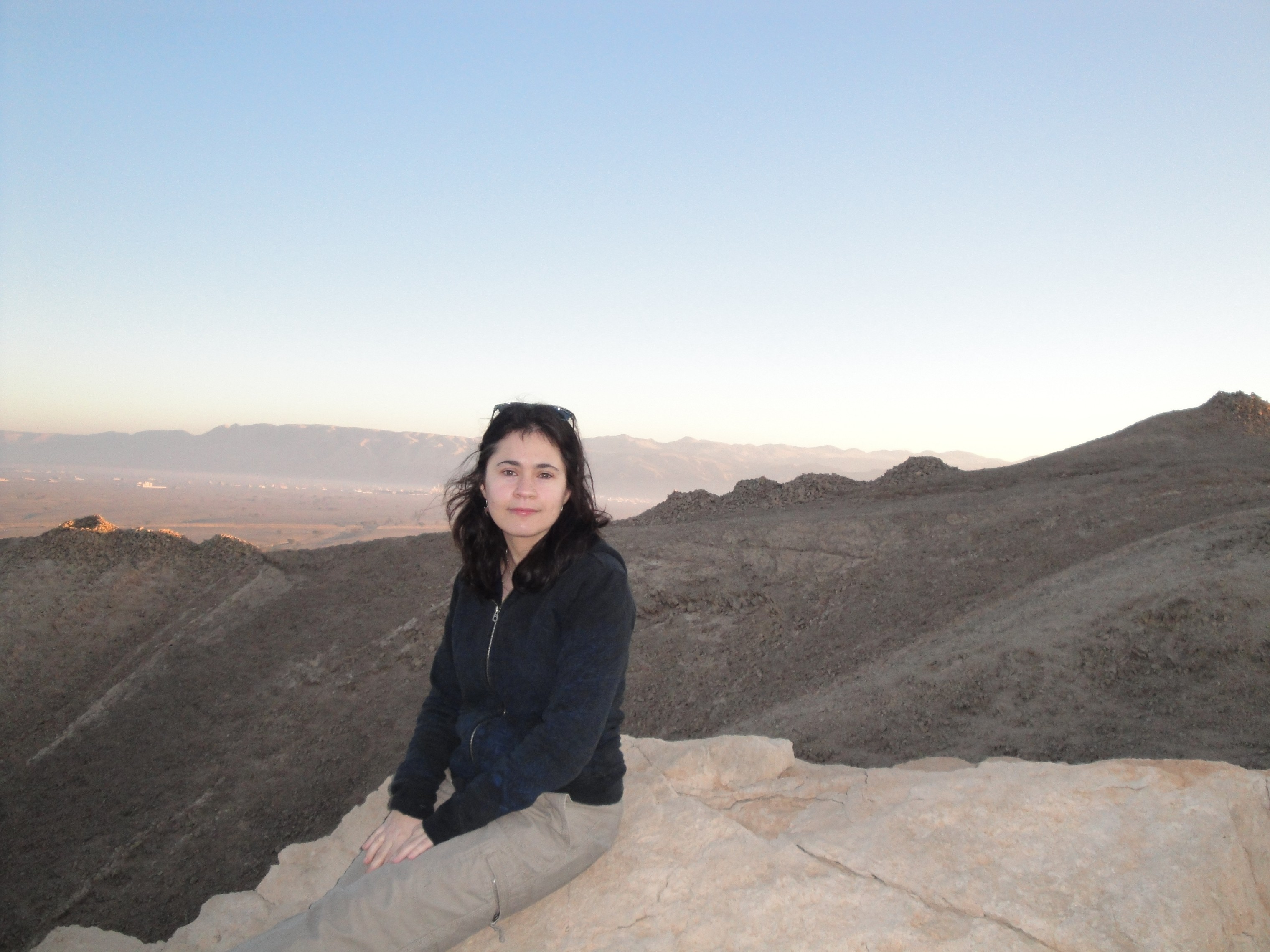 Image of Professor Kimberly Williams.